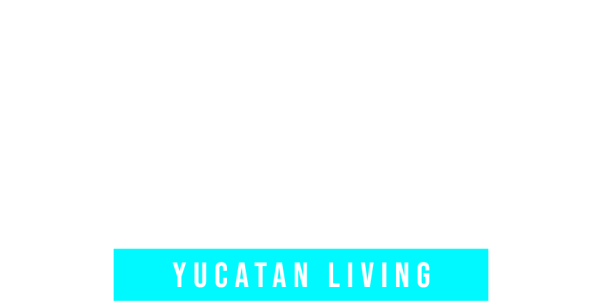 Meghan & Noe